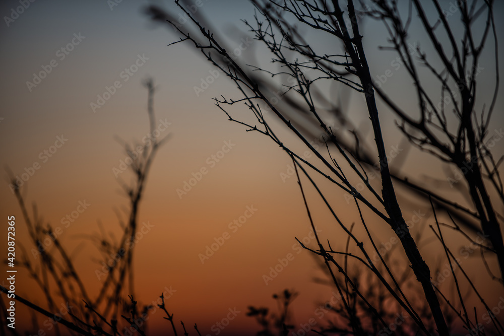 Sunset Sunset