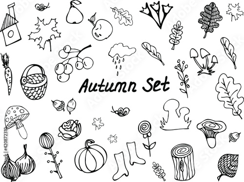 Autumn set. A set of vector black-and-white hand-drawn elements. Harvest in the garden, vegetables, look for mushrooms, cloudy weather, basket, dried plants and flowers, cabbage, pumpkin, carrots