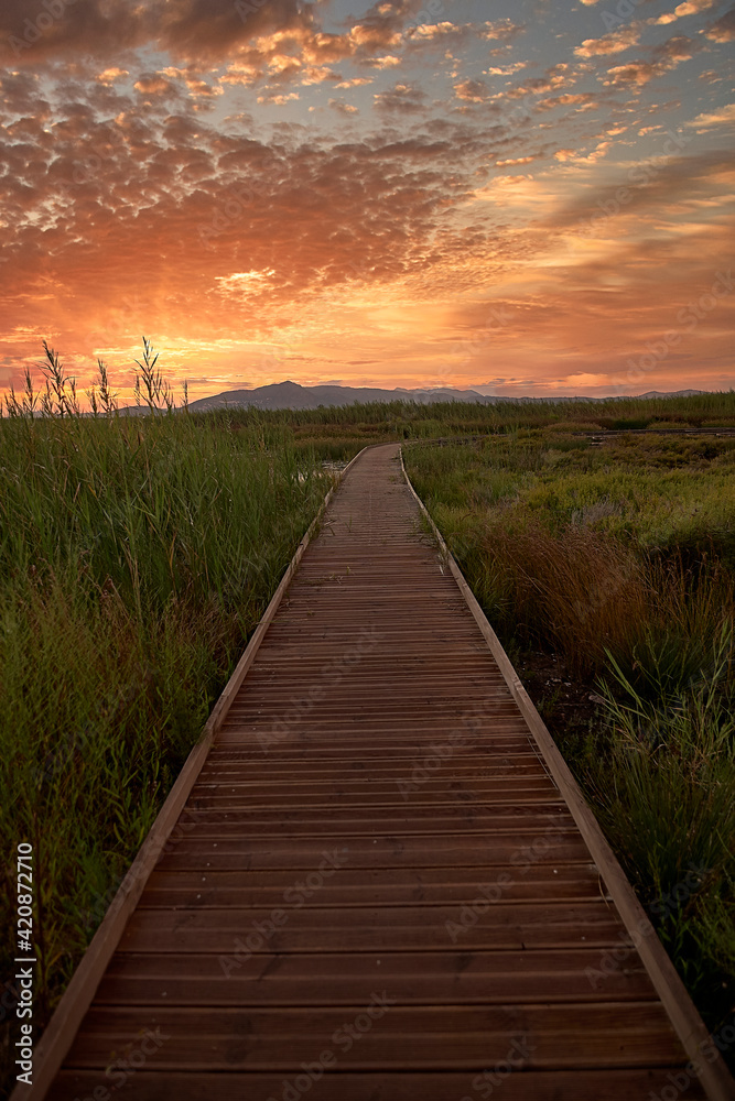 Sunset on a wooden walkway among the reeds