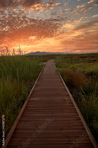Sunset on a wooden walkway among the reeds