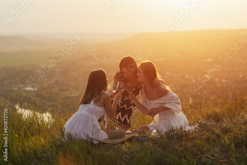 Girls clinking glasses with wine and enjoying a classic picnic in a scenic setting at sunny day.