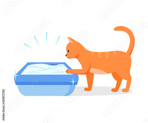 Cat using clean litter box. Right way to maintain cat toilet. Pet toilet hygiene concept. Vector illustration