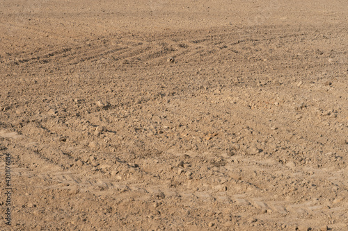 empty clean agriculture field, background and texture for design, copy space, eco farming and organic agriculture concept. There are traces of wheeled harvesting equipment on the sand.