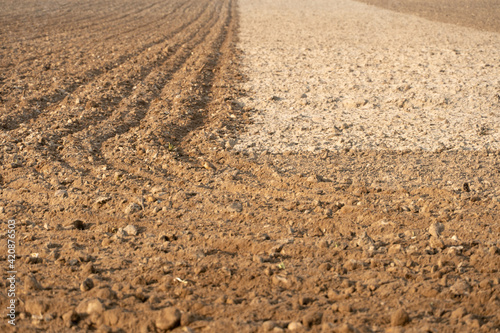 empty clean agricultural field, background and texture for design. The border of the soil of different color and composition. Traces of wheeled harvesting equipment are visible on the sand.