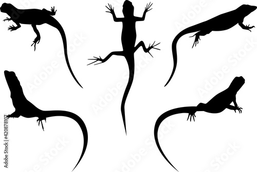 Fototapeta set of lizards black silhouette