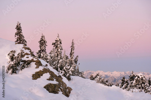 Delicate pink sunset over snowy rocks and trees. Cypress Mountain. Vancouver. British Columbia. Canada 