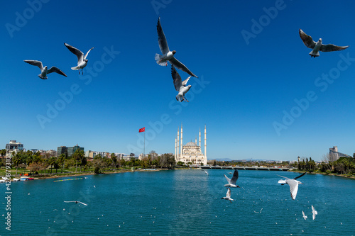 Sabanci Central Mosque - Adana Turkey