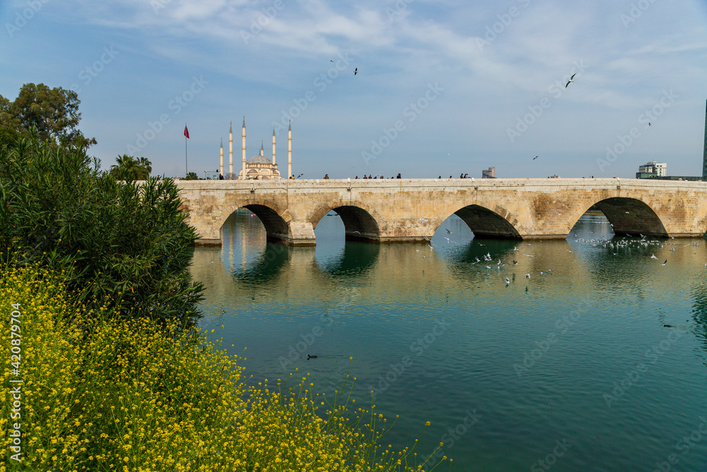 The Stone Bridge and Sabanci Mosque, Adana, Turkey