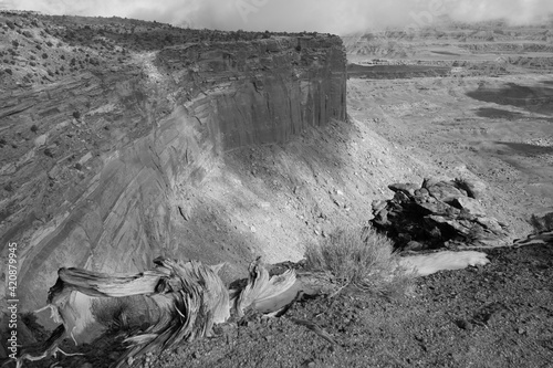 Grand View Point Overlook, Canyonlands National Park, Moab, Utah, USA photo