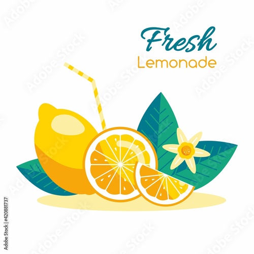 Fresh ripe lemon vector flat illustration. Set of sliced fruits in cartoon style, half or whole, with seeds. Healty detox food. Immune system booster boost. Smoothies