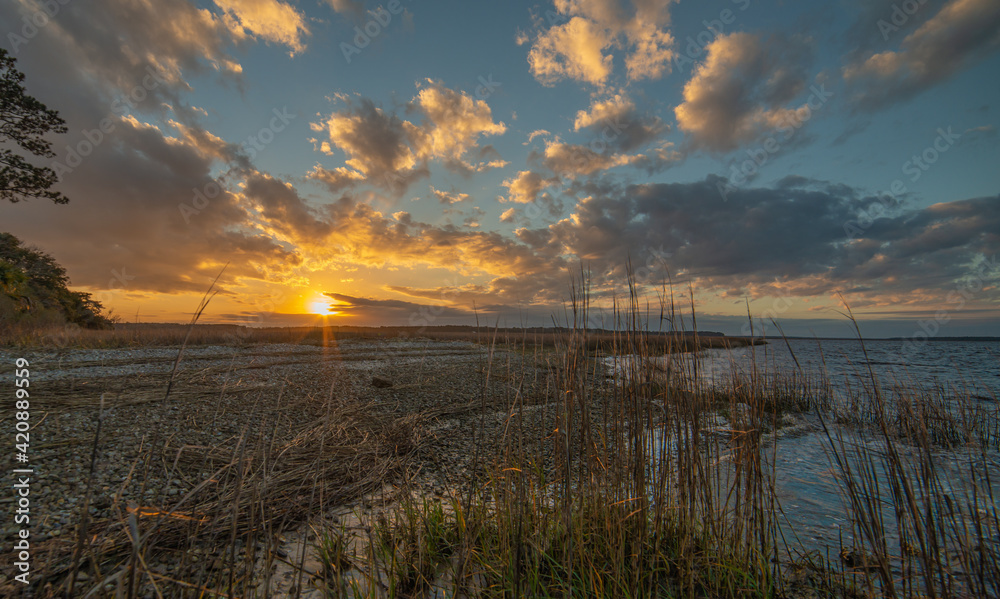 Naklejka premium Sunset beauty in the low country