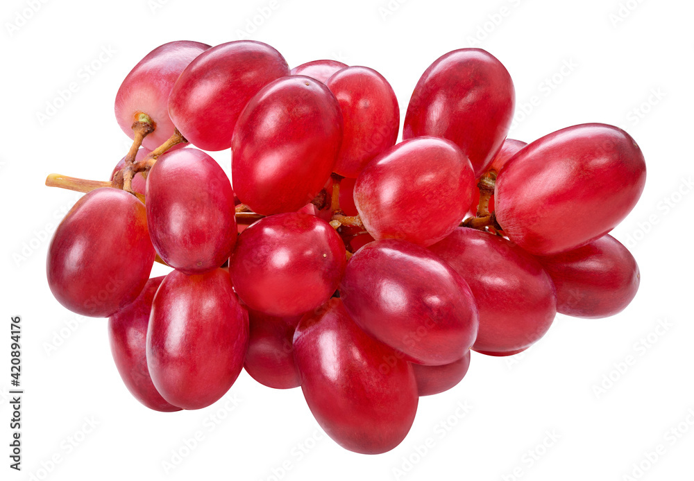 Red ripe grape cluster isolated on white background. Purple fresh grape bunch, autumn composition. Macro, studio shot, front view. Harvest concept