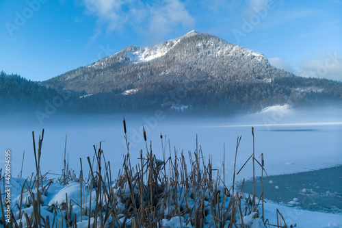 Winter landscape with mist over Spitzingsee, Bavaria, Germany photo