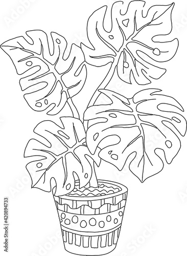 Hand drawn coloring page for kids and adults. Potted plant Monstera. Beautiful drawing with patterns and small details. Coloring pictures. Vector