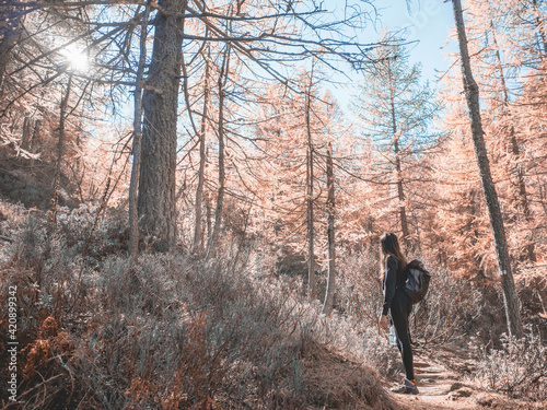 Woman exploring forest, Antronapiana, Piemonte, Italy photo