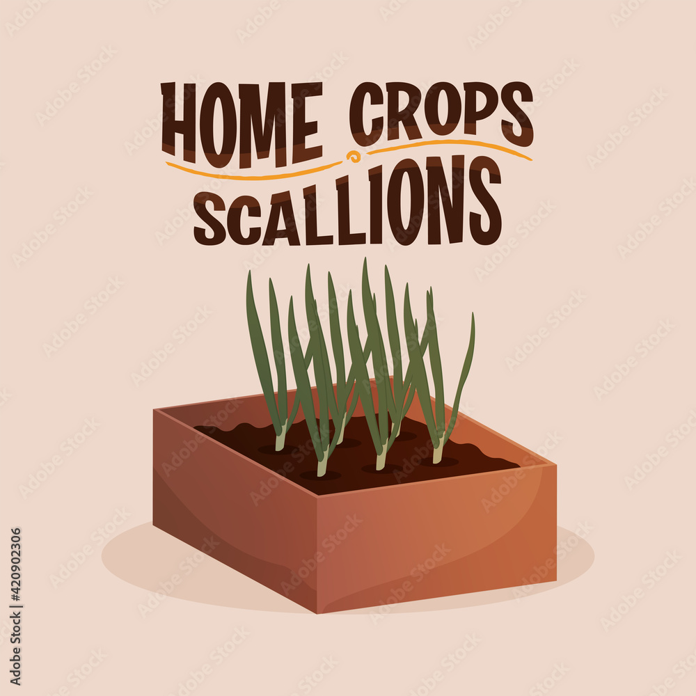 Home crop scallions in wood food health icon- Vector Home crop scallions in wood food health icon- Vector