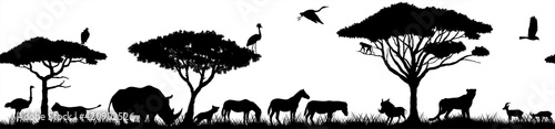 Vector horizontal seamless tropical african savannah with lions, zebra, vulture, heron, hyena, common warthog, rhinoceros, cheetah, gazelle, monkey, African ostrich and crowned crane
