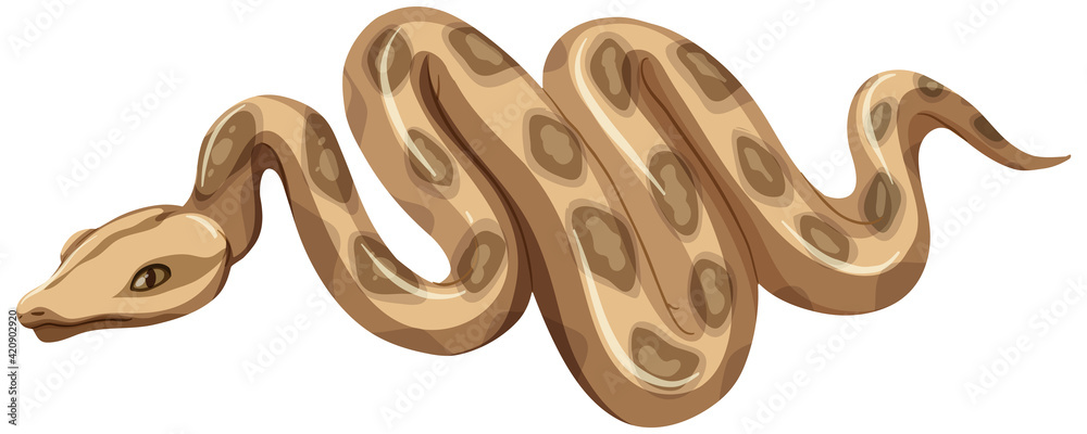 A snake in cartoon style isolated on white background A snake in cartoon style isolated on white background