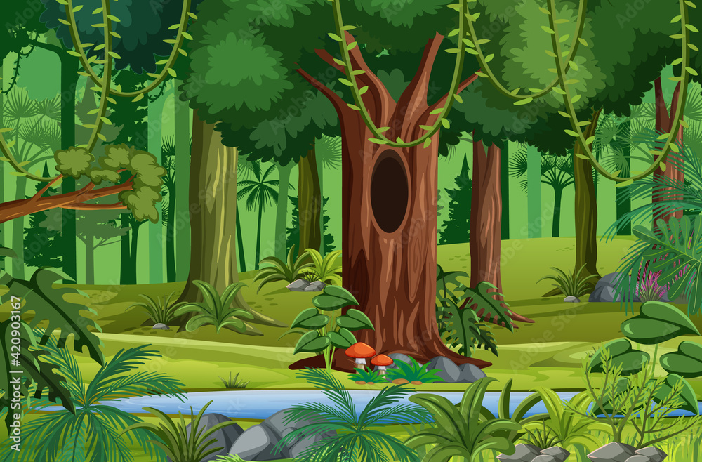 Obraz premium Forest scene with liana and many trees