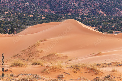 Fototapeta Naklejka Na Ścianę i Meble -  coral Pink Sand Dunes State Park