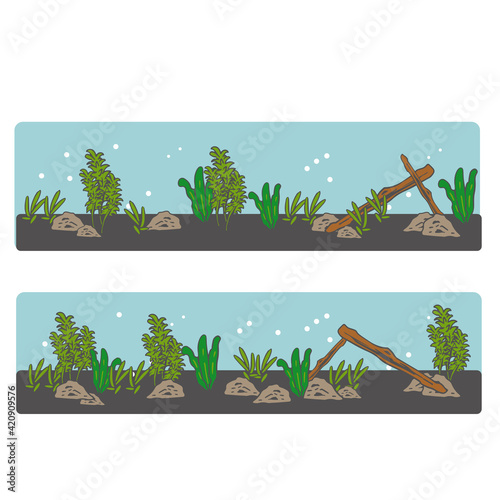 観賞魚の水槽　ライン　線(魚無し)