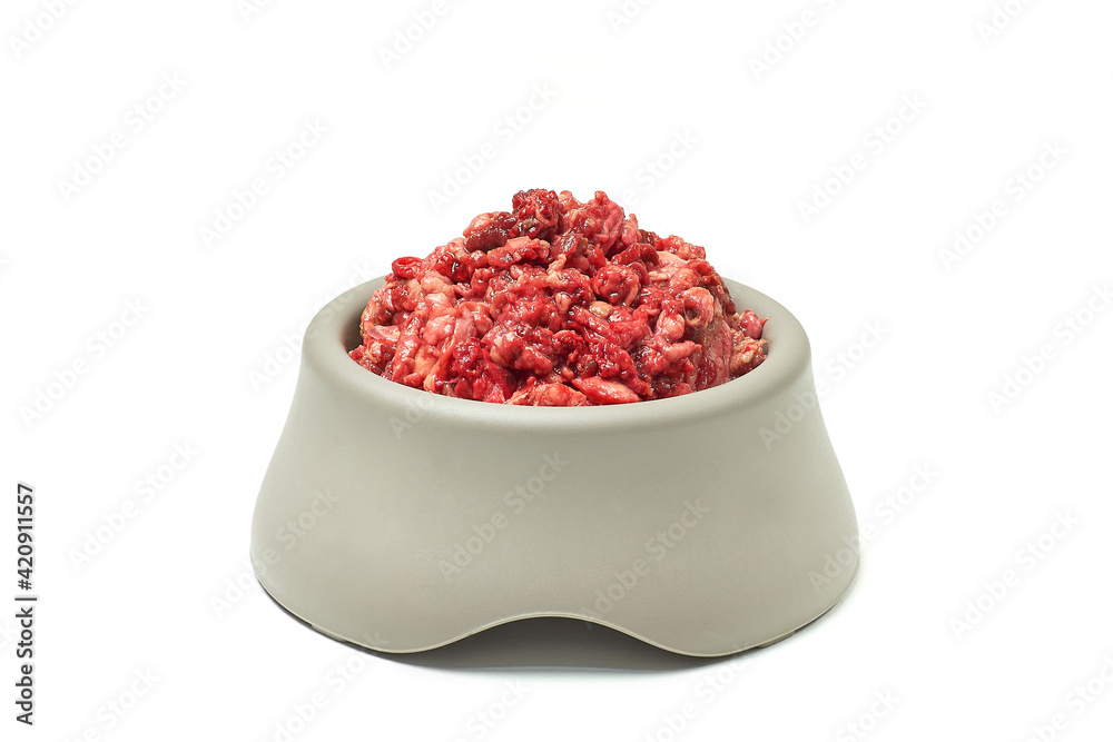 Natural pet food. Fresh raw minced meat in bowl on white background. 