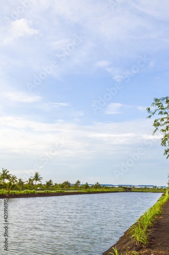 beautiful landscape in country Thailand