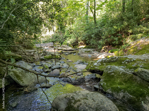 Tranquil stream in the Appalachian Mountains! Tucked away under a canopy of vibrant green towering trees!