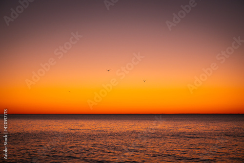 sunset on the sea