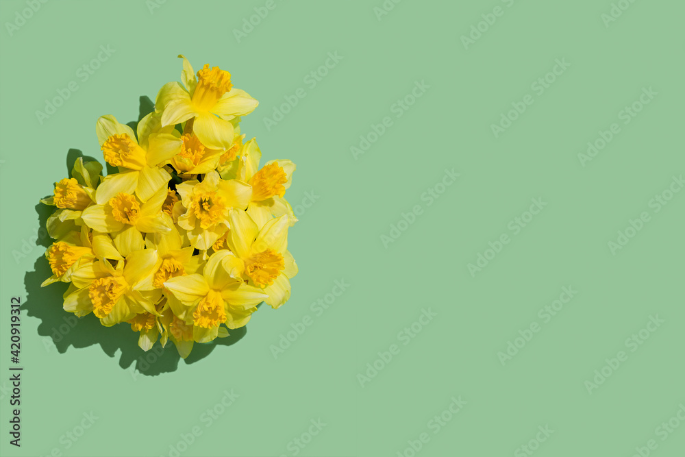 Bouquet of fresh spring daffodils on a green background. Bright yellow flowers with copy space. 