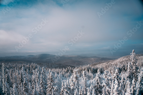 landscape in the mountains