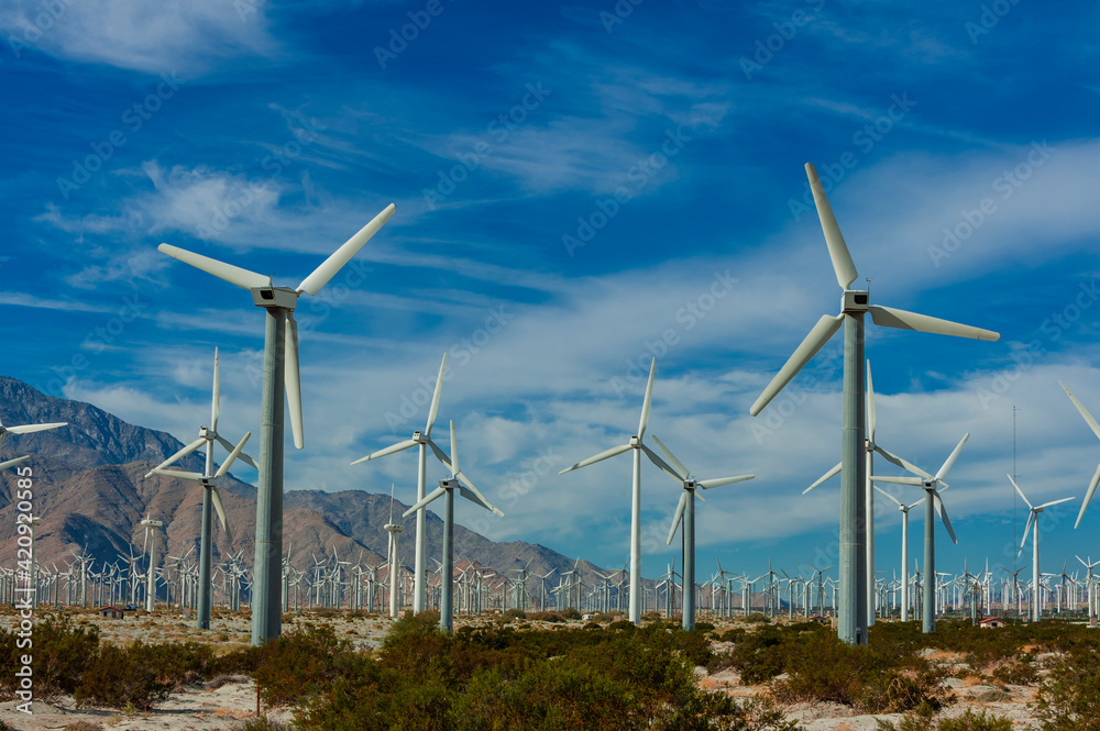 Wind Farm, Palm Springs, California, USA Wind Farm, Palm Springs, California, USA