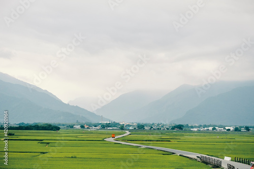 Paddy field, Chi Shang, Taiwan