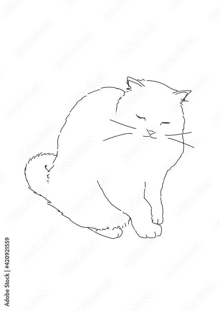 猫 猫