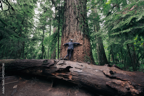 Woman hugging tree in forest, Cathedral Grove, British Columbia, Canada