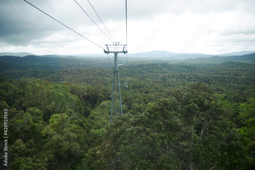 Skyrail Rainforest Cableway running above the Barron Gorge National Park, in the Wet Tropics of Queensland’s World Heritage Area, Cairns, Australia. Skyrail Rainforest Cableway running above the Barron Gorge National Park, in the Wet Tropics of Queensland’s World Heritage Area, Cairns, Australia.
