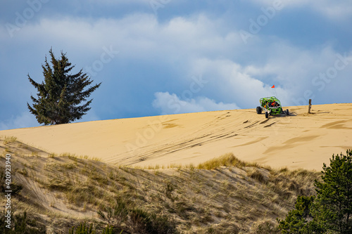 Dune Buggy on Sand Dune with Lone Pine Tree at the Oregon Dunes