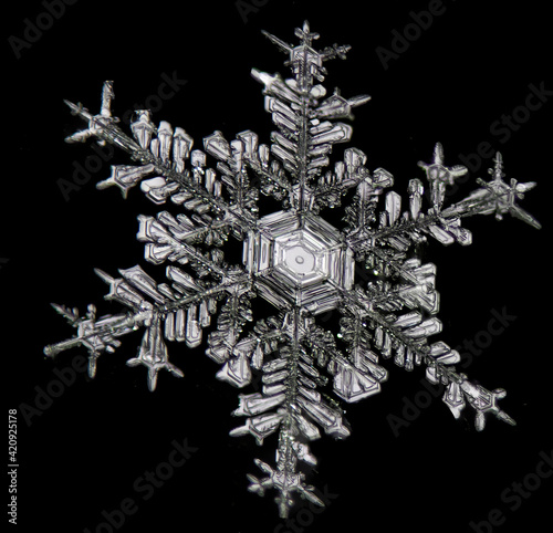 Extreme close up of snowflake on black background, structure and natural pattern photo