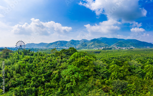 Green forest and mountain under blue sky. © ABCDstock