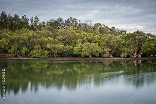 Cloudy morning waterscape with trees and reflections