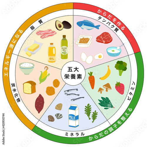 五大栄養素　三色食品群　食品　一覧表