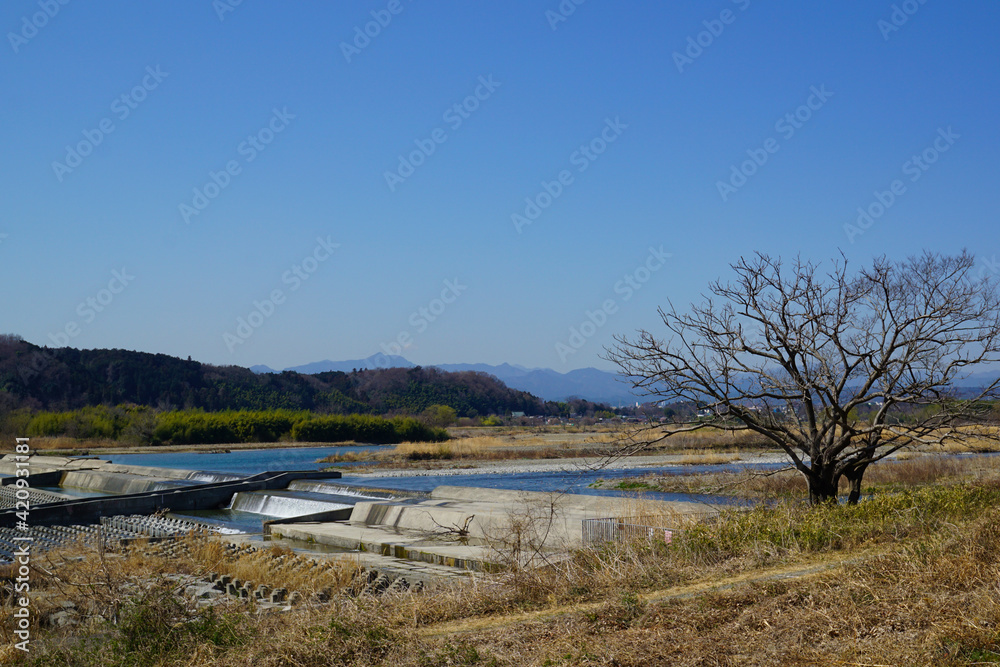 早春の多摩川 風景 東京都昭島市 早春の多摩川 風景 東京都昭島市