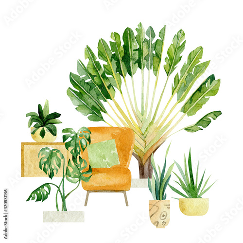 Watercolor house plants in pots composition. Home garden greenery tropical tree. Monstera, cactus, palm, banana palm and decor home. Indoor lady plant house stiker, poster, greeting card.