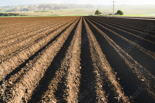 Ploughed agricultural field. Rows or beds prepared for sowing, ready for new crops