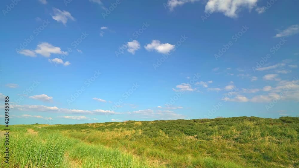 Yellow grassland in autumn, blue sky and white clouds background, time-lapse Yellow grassland in autumn, blue sky and white clouds background, time-lapse