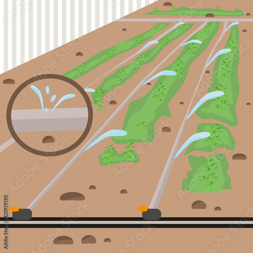 Hose, drip irrigation, water. Watering plants in the garden or vegetable garden. The concept of carrying out field work in agriculture. Soil reclamation. Vector

