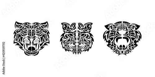 Set of tiger tattoo in boho style. Polynesian style tiger face. Isolated. Vector illustration.