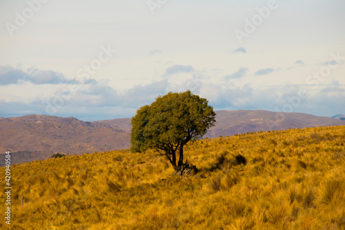 In the middel of the mountain photo