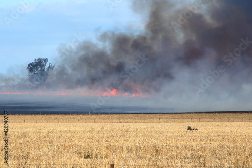 Burning off farm land to introduce nitrogen into soil, for better crop yield © Damien