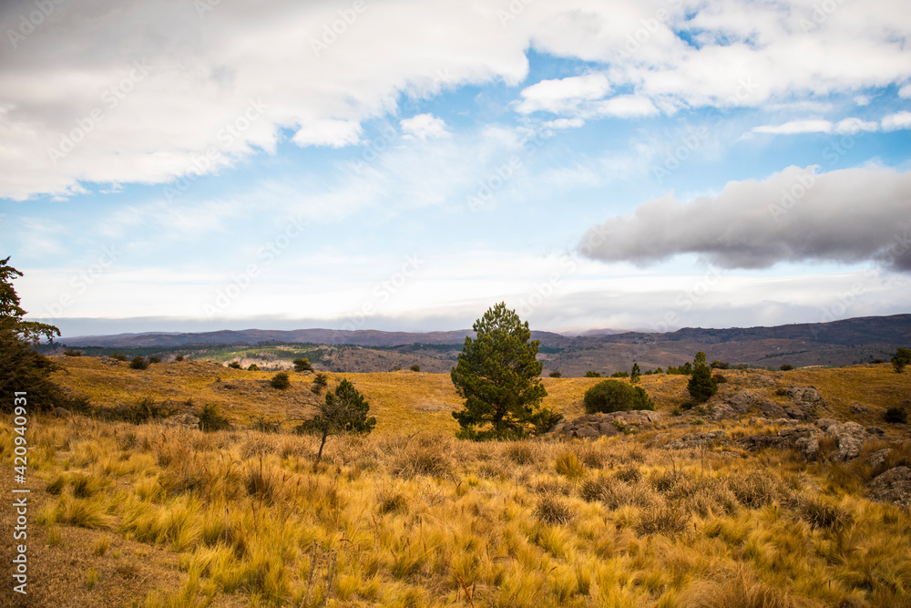 En la pradera